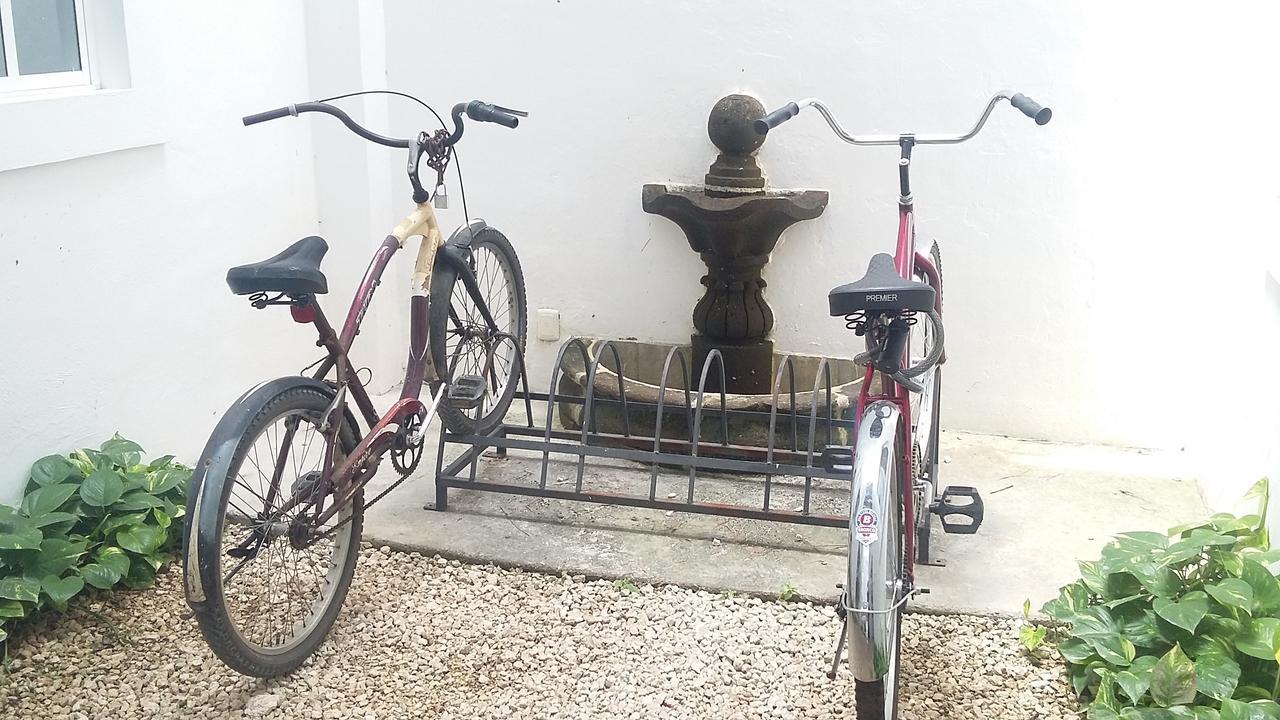 International House Playa del Carmen
